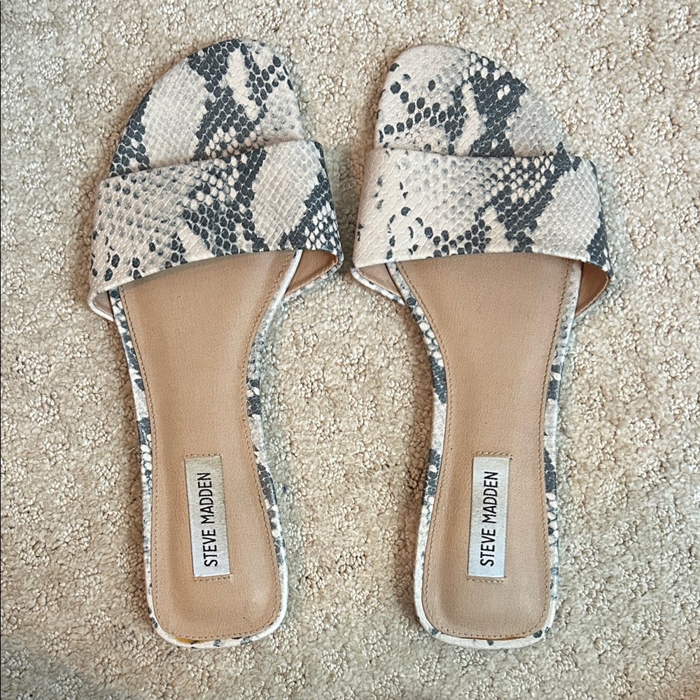 Steve Madden Snakeskin Slide Sandals - Black and Cream